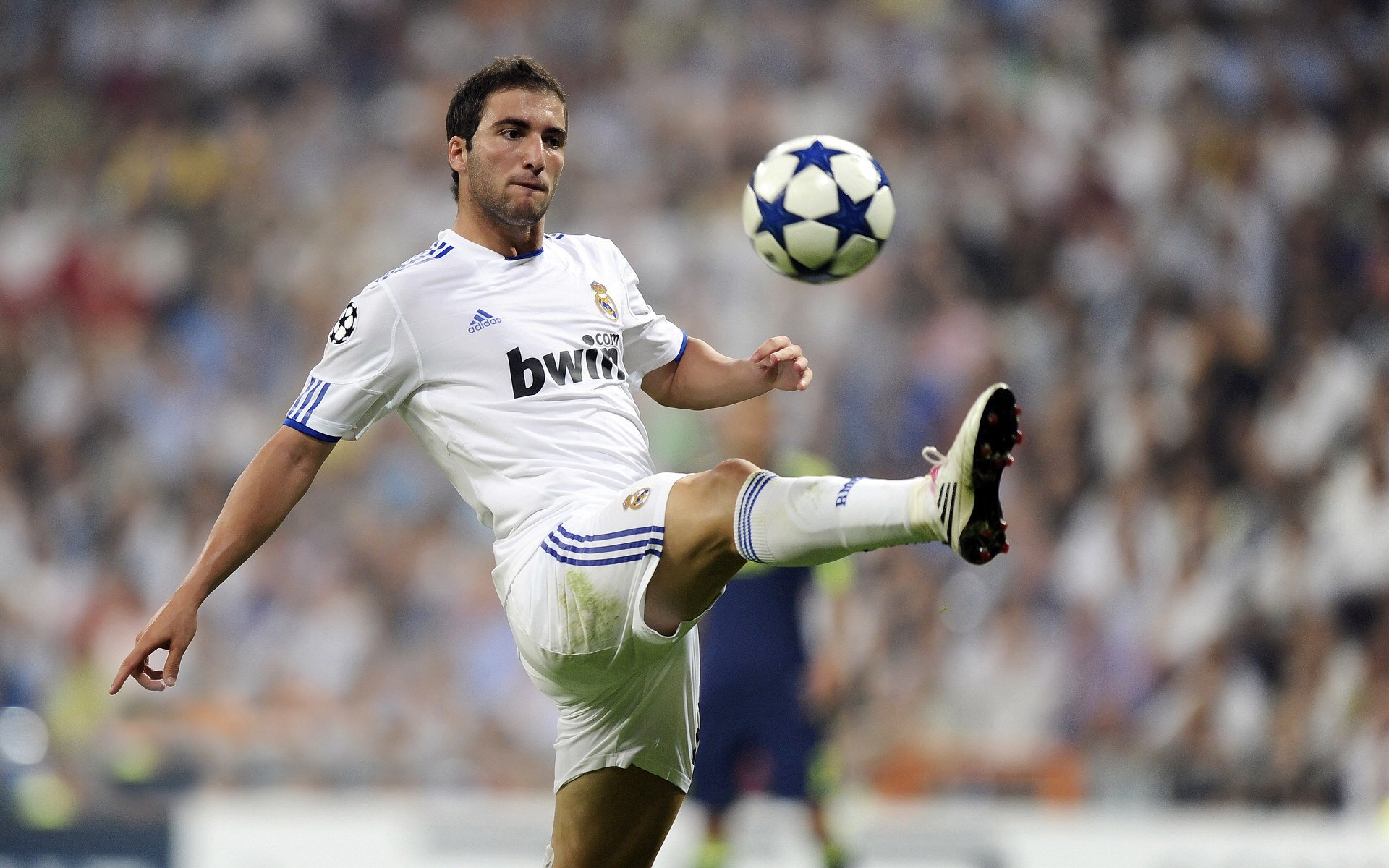 巴西骑手安娜·卡塔琳娜在巴黎奥运会障碍赛中获得铜牌,展现坚韧精神。